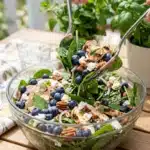 Blueberry Summer Salad with Chicken